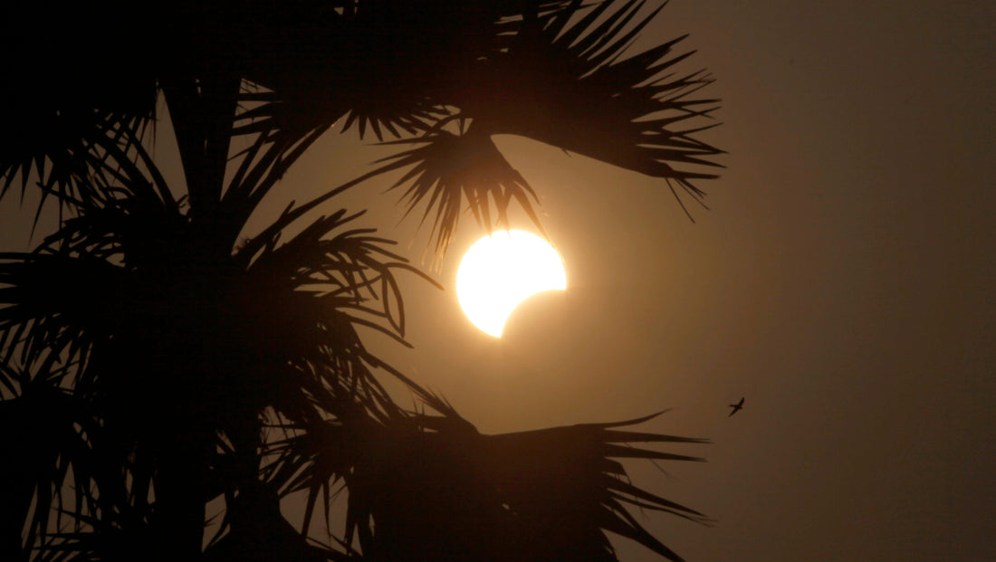 Image of solar eclipse