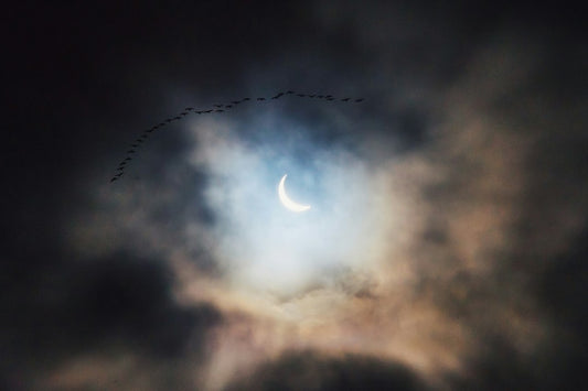 Image of solar eclipse