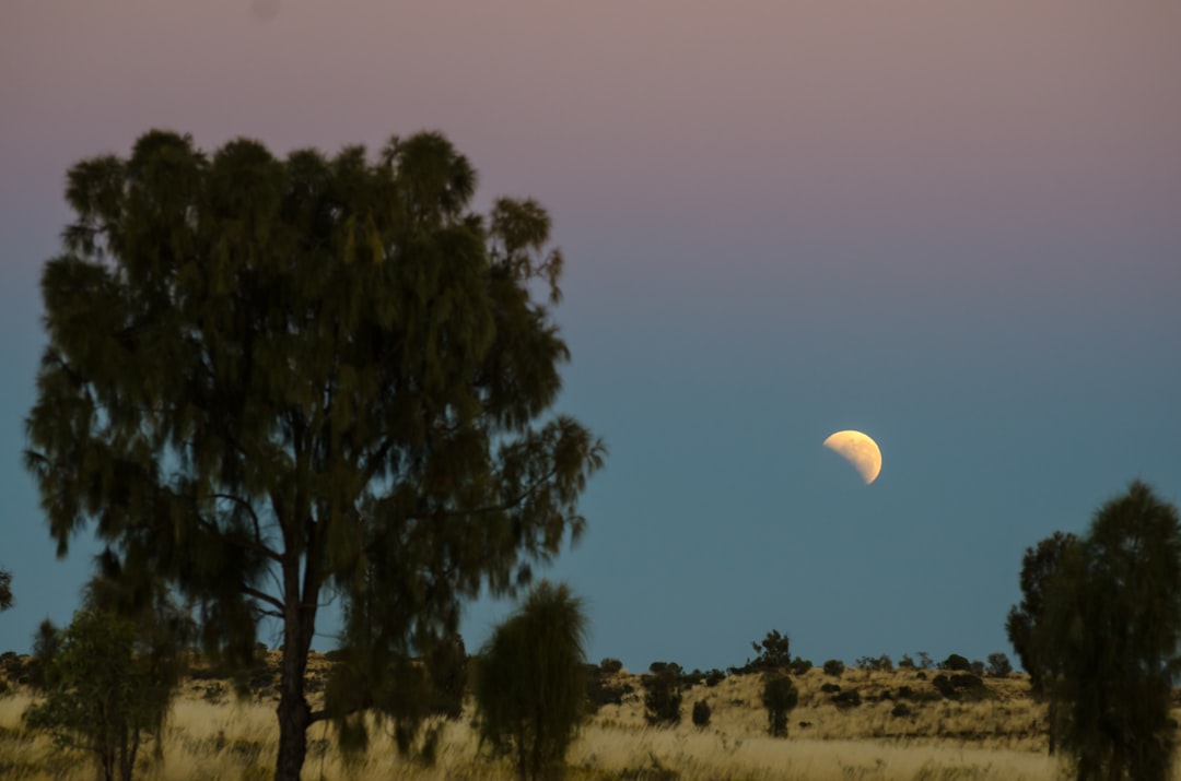 Image of solar eclipse