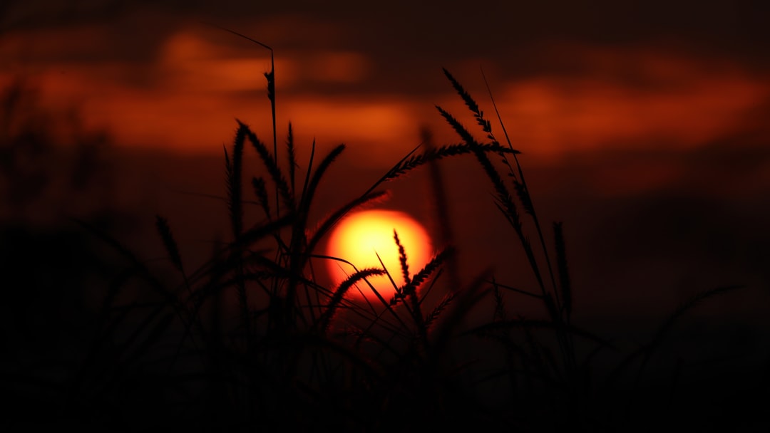 Image of solar eclipse