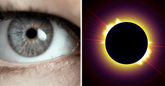 Solar Eclipse Safety: Protecting Your Eyes During the Celestial Event - Absolute Eclipse