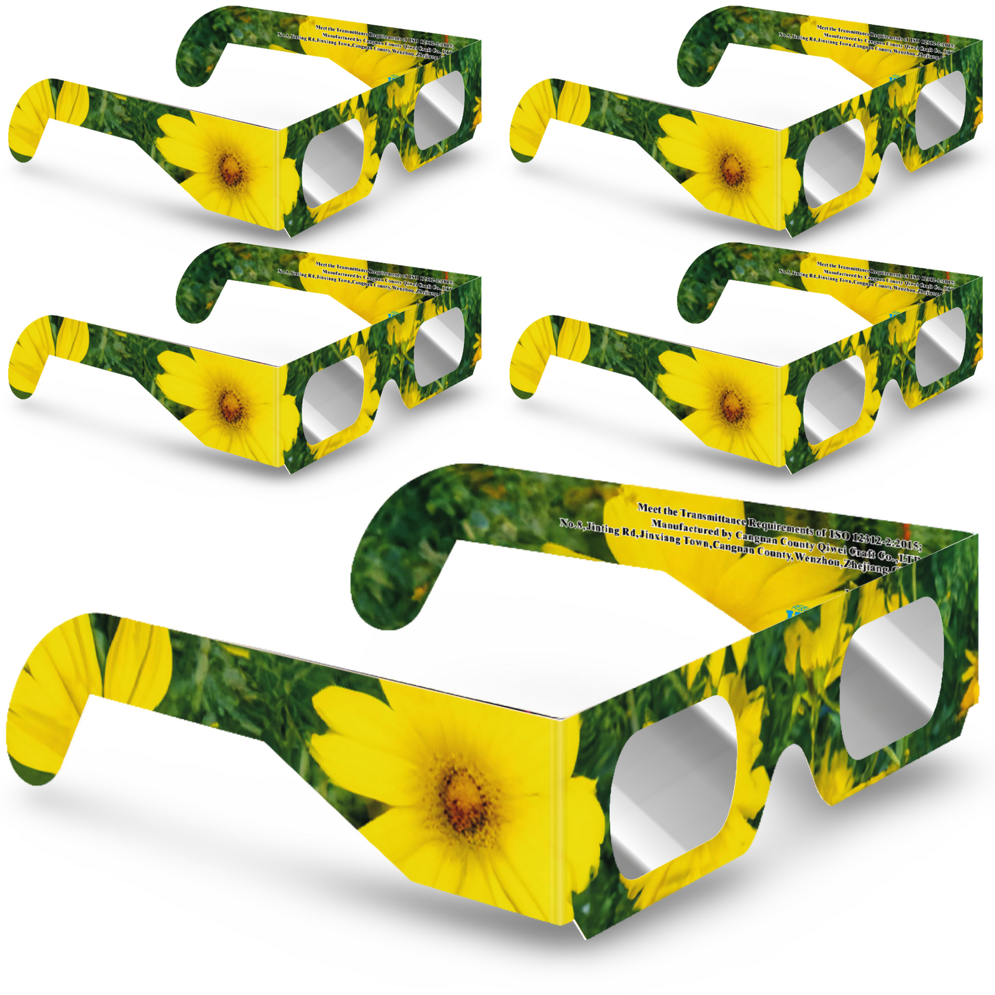 Solar Eclipse Glasses - Flower